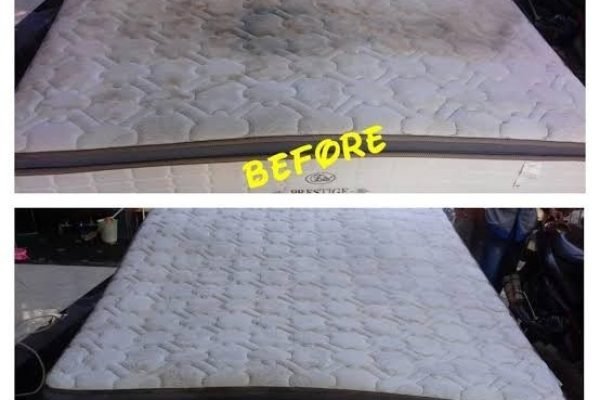 WhatsAppImage2026-01-17at10.55.44